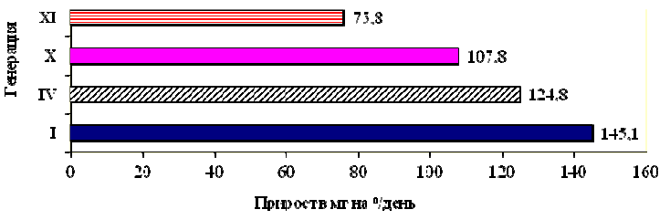 pic10.png